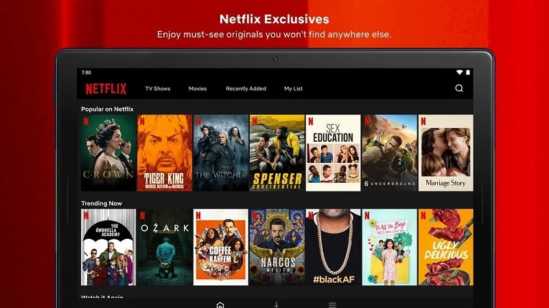 Netflix-apk-Premium-2